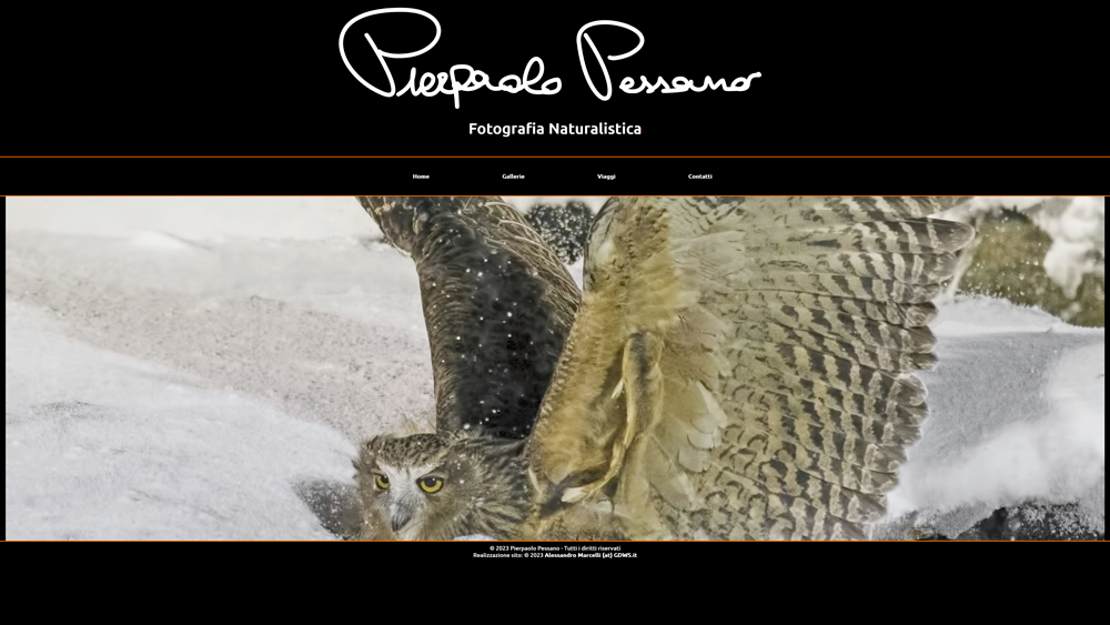 Homepage of Pierpaolopessano.it